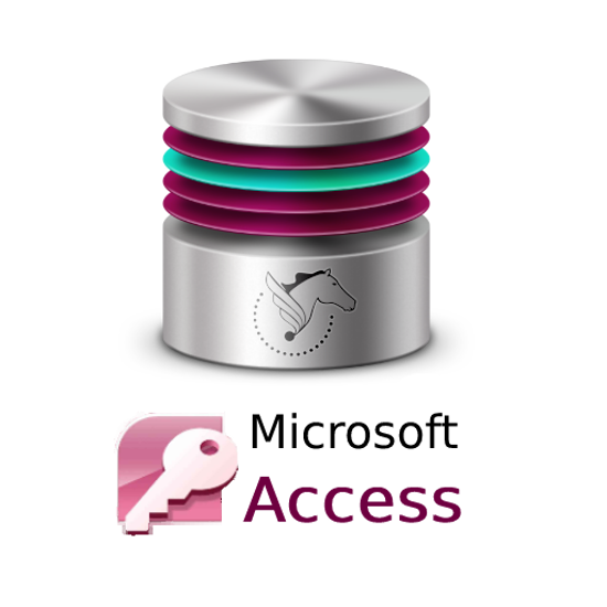 Microsoft Access Database